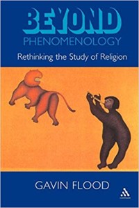 Image of Beyond Phenomenology: Rethinking The Study Of Religion