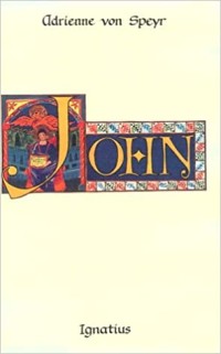 Image of The Discourses of Controversy: Meditations on John 6-12