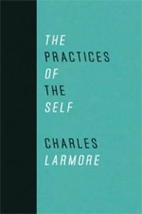 Image of The Practices of the Self