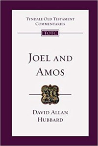Image of Joel and Amos: An Introduction and Commentary Volume 25