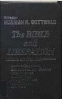Image of The Bible and Liberation : Political and Social Hermeneutics