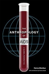 Image of The Anthropology of AIDS : A Global Perspectives