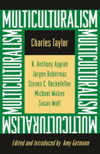 Image of Multiculturalism: Examining The Politics of Recognition