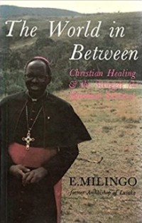 Image of The World in Between : Christian Healing and the Struggle for Spiritual Survival